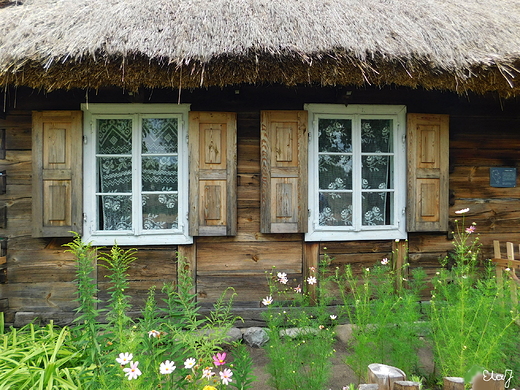 Skansen w Maurzycach