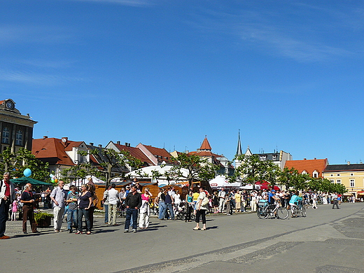 Pszczyska Majwka Konna 2009.