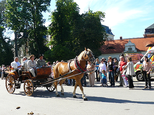 Pszczyska Majwka Konna 2009.