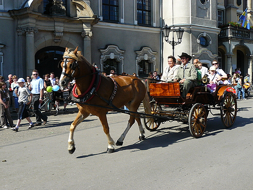 Pszczyska Majwka Konna 2009.