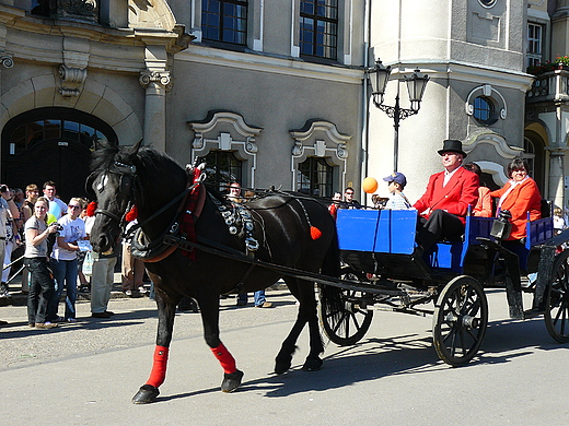 Pszczyska Majwka Konna 2009.