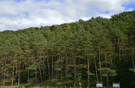 Midzyzdroje - Woliski Park Narodowy