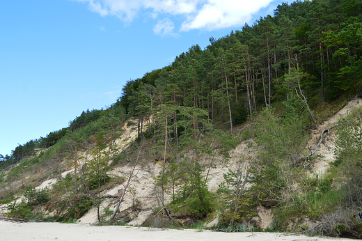 Midzyzdroje - Woliski Park Narodowy