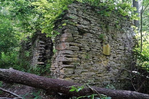 Ruiny Papierni Ordynacji Zamoyskich