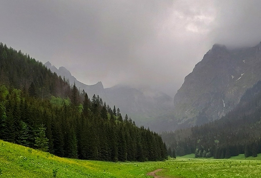 Czerwiec, Wielka Polana w Dolinie Maej ki.