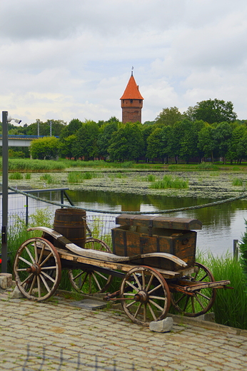 Malbork - Widok z U Flisaka na Nogat