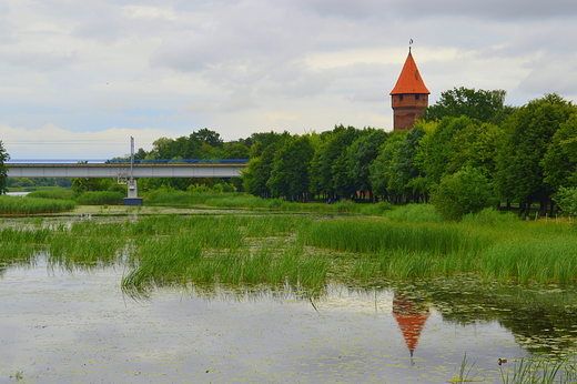 Malbork - Wiea Malankowa