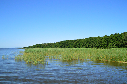 Rbka  - Jezioro ebsko