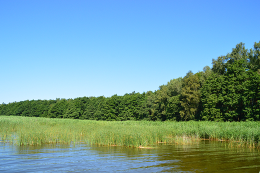 Rbka - Jezioro ebsko