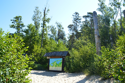 eba - Sowiski Park Narodowy, Wydma cka