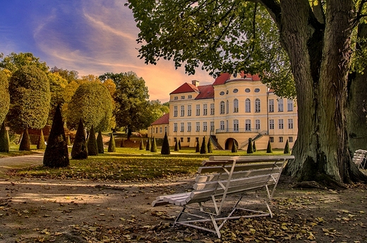 Rogaliski Park Krajobrazowy