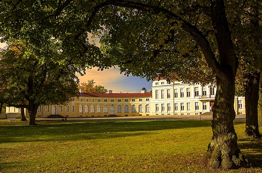 Rogaliski Park Krajobrazowy