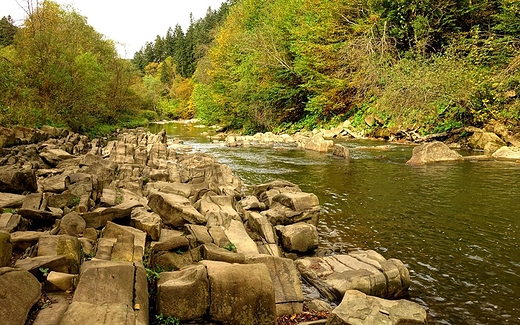 Rezerwat Sine Wiry, dolina Wetlinki