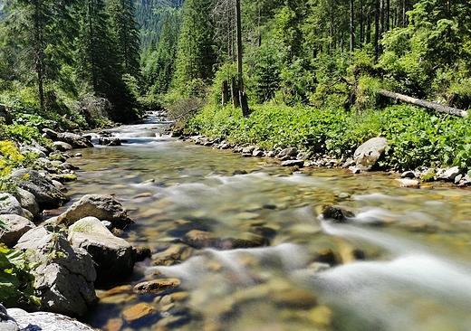 Dolina Kocieliska.