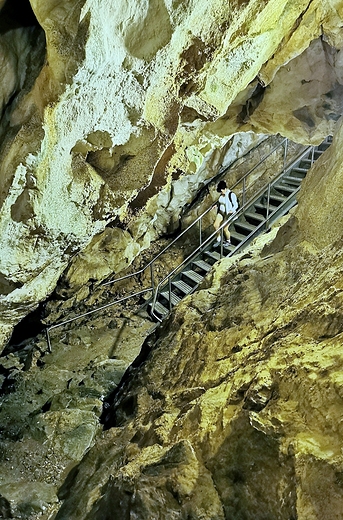 Jaskinia Mroźna.