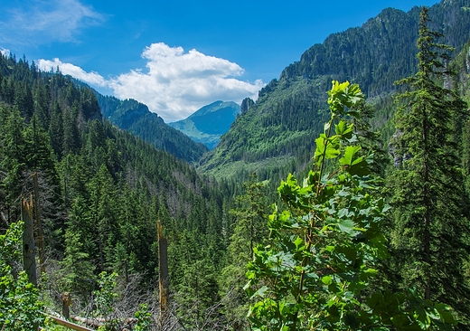 Jaskinia Mrona. Wyjcie. Widok na dolin Kocielisk.