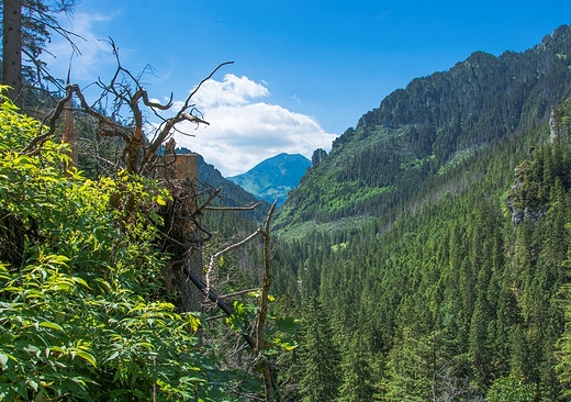 Jaskinia Mrona. Wyjcie. Widok na dolin Kocielisk.