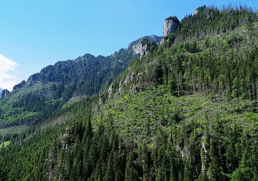 Jaskinia Mrona. Wyjcie. Widok na dolin Kocielisk.