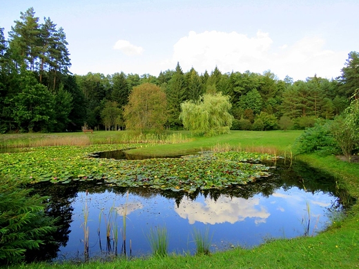 Arboretum na Kopnej Grze