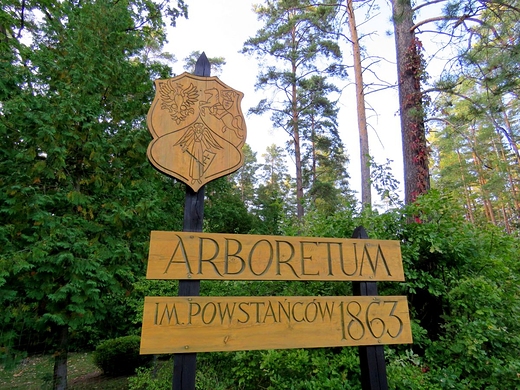 Arboretum na Kopnej Grze