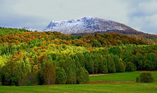 Tarnica, pierwszy nieg