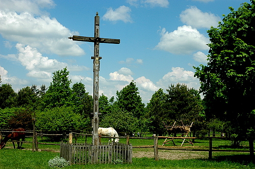 Mniszek - na rozstajach