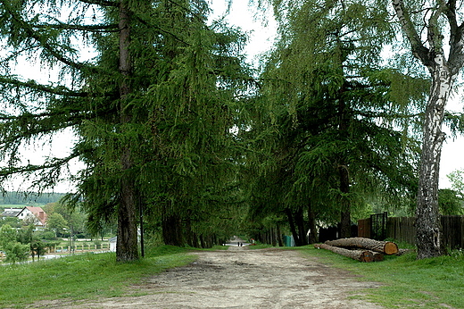 Maogoszcz - droga na Babinek