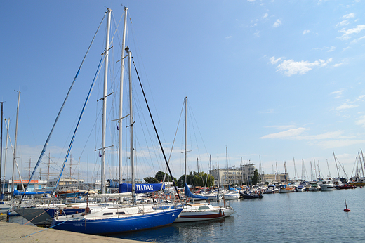 Gdynia - Marina