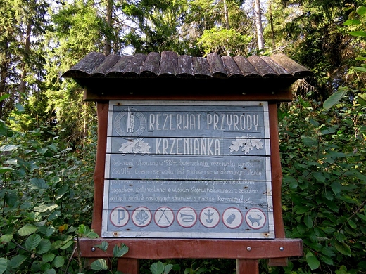 Rezerwat przyrody Krzemianka