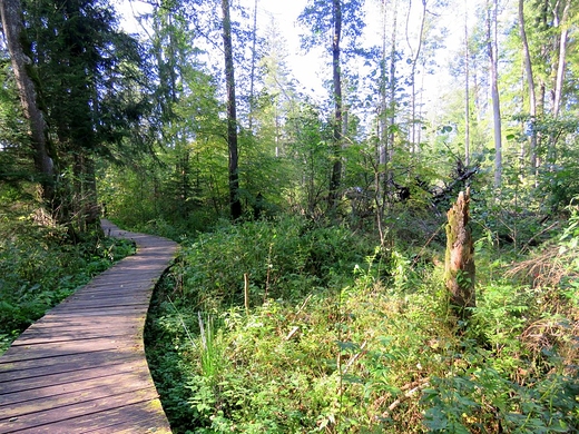 Rezerwat przyrody Krzemianka