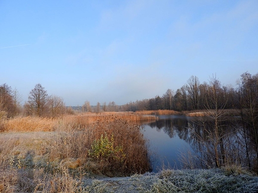Rezerwat przyrody Bagno Pogorzel