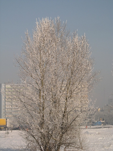 Taki mamy pejza