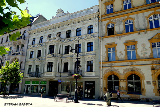 Kamienice na ul. Piotrkowskiej w odzi