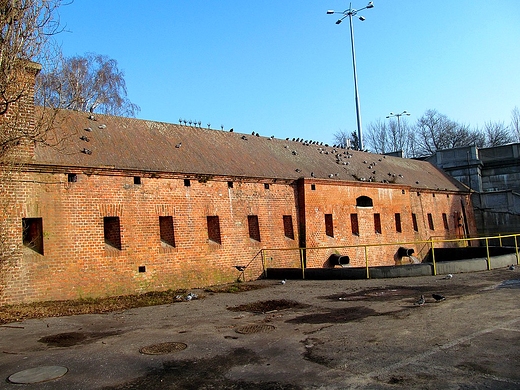 Grodza nr 5