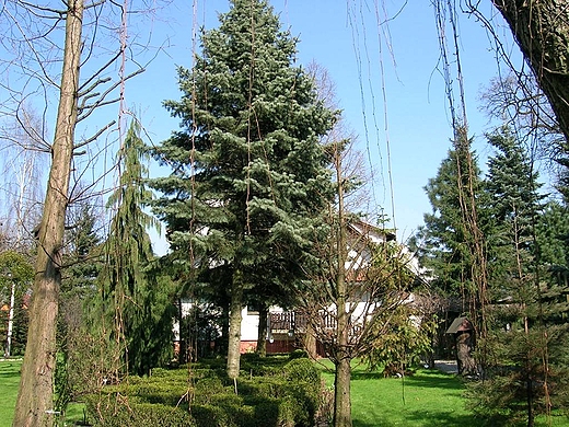 Ogrd botaniczny.