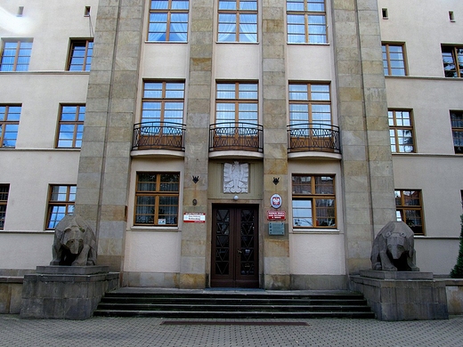 Dwa niedwiedzie