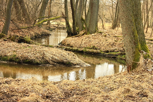 potok Lenica