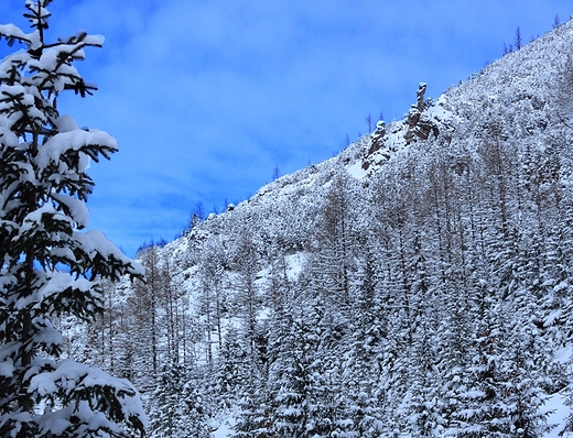 Przez dolin Jaworzynk, turniczki