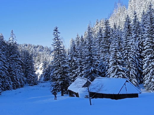 Polana Jaworzynka, szopy