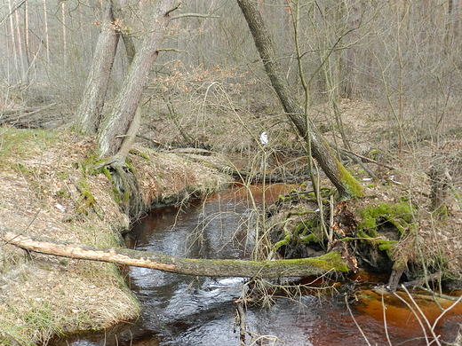 Rzeka Czartosowa