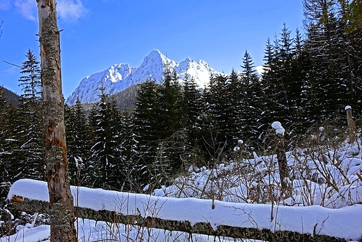 Giewont ze cieki nad Reglami