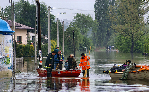 Powd 2010 - Czechowice - Dziedzice