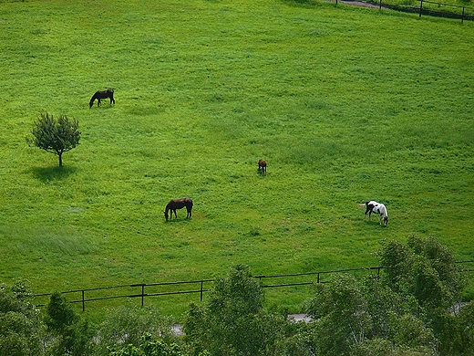 widok z chciskiego zamku