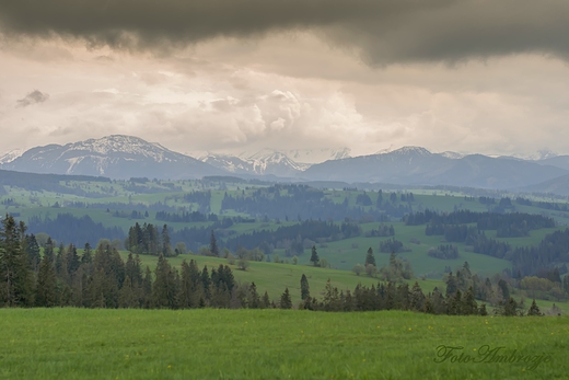 Widok na Tatry z Bachledwki