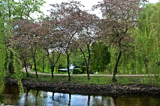 Park Książąt Pomorskich.