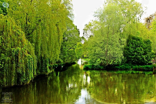 Park Ksit Pomorskich-Koszalin.