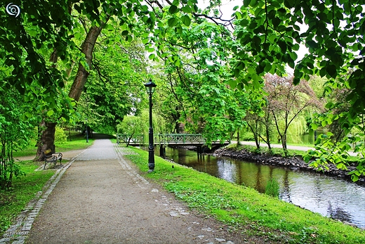 Park Ksit Pomorskich-Koszalin.