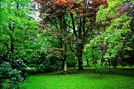 Park Ksit Pomorskich-Koszalin.