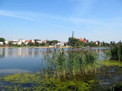 Panorama miasta z wie w. Trjcy
