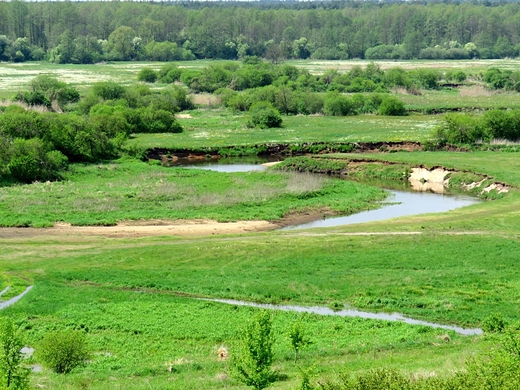 Widok z Sowiej Gry na rzek Liwiec